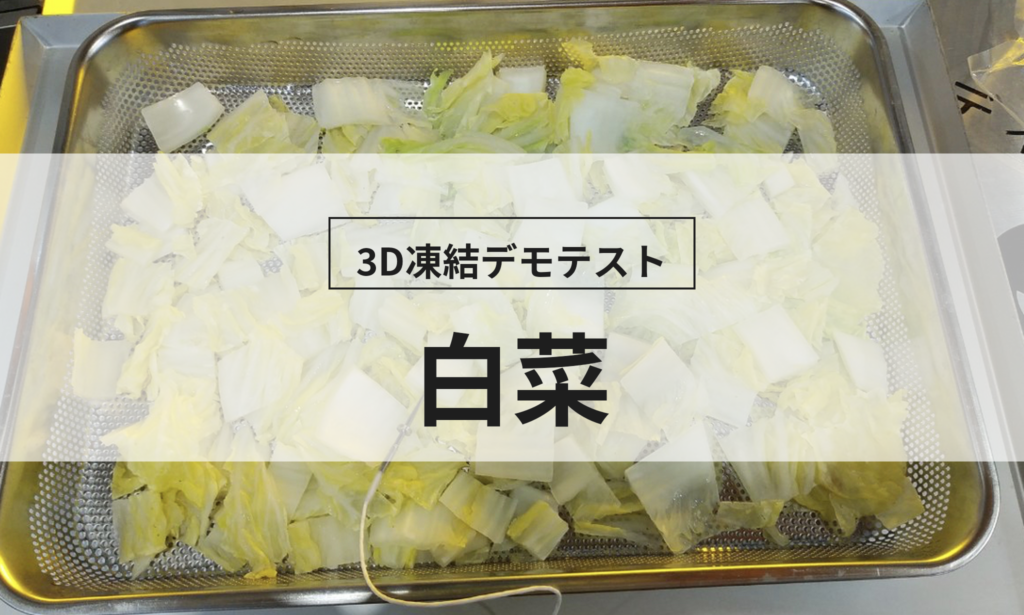 3D凍結デモテストに使用する白菜（冷凍前）の写真