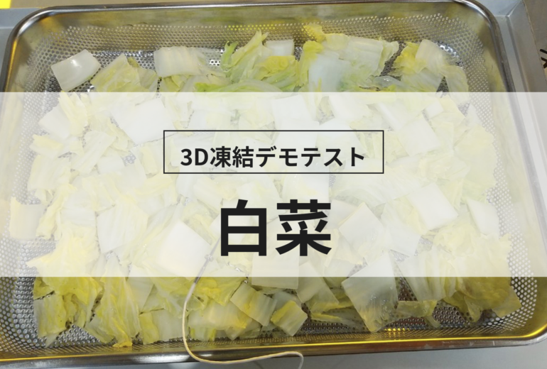 3D凍結デモテストに使用する白菜（冷凍前）の写真