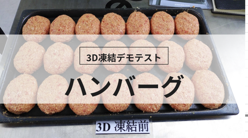 3D凍結デモテストに使用するハンバーグ（冷凍前）の写真