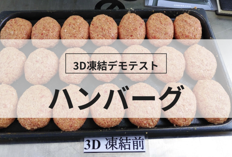 3D凍結デモテストに使用するハンバーグ（冷凍前）の写真