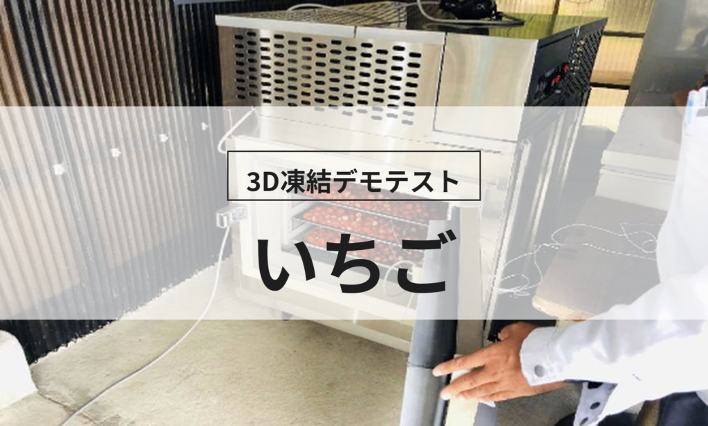 3D凍結デモテストに使用するいちご（冷凍前）の写真