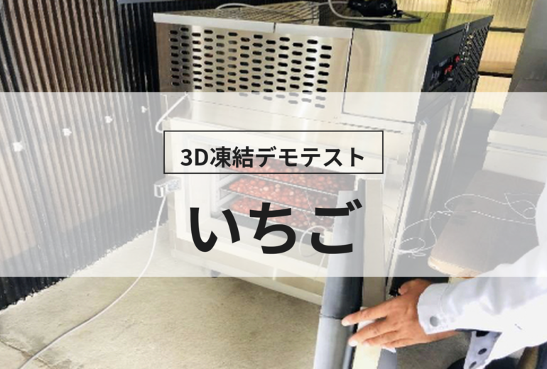 3D凍結デモテストに使用するいちご（冷凍前）の写真