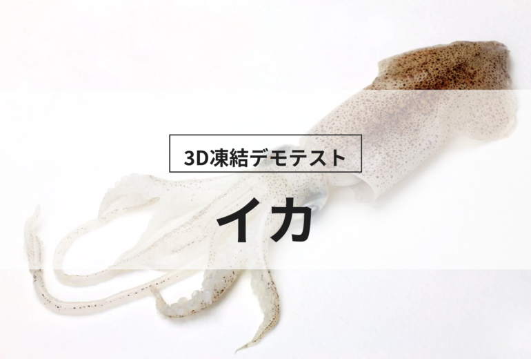 3D凍結デモテストに使用するイカ（冷凍前）の写真