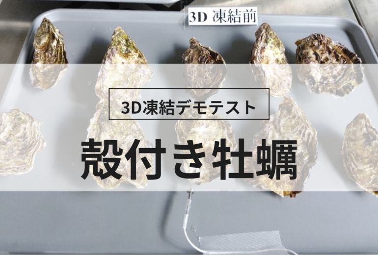 3D凍結デモテストに使用する殻付き牡蠣（冷凍前）の写真