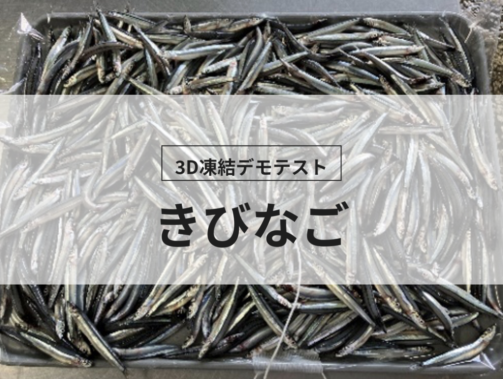 3D凍結デモテストに使用するきびなご（冷凍前）の写真