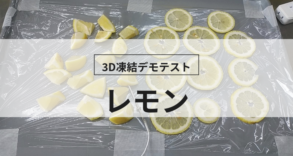 3D凍結デモテストに使用するレモン（冷凍前）の写真