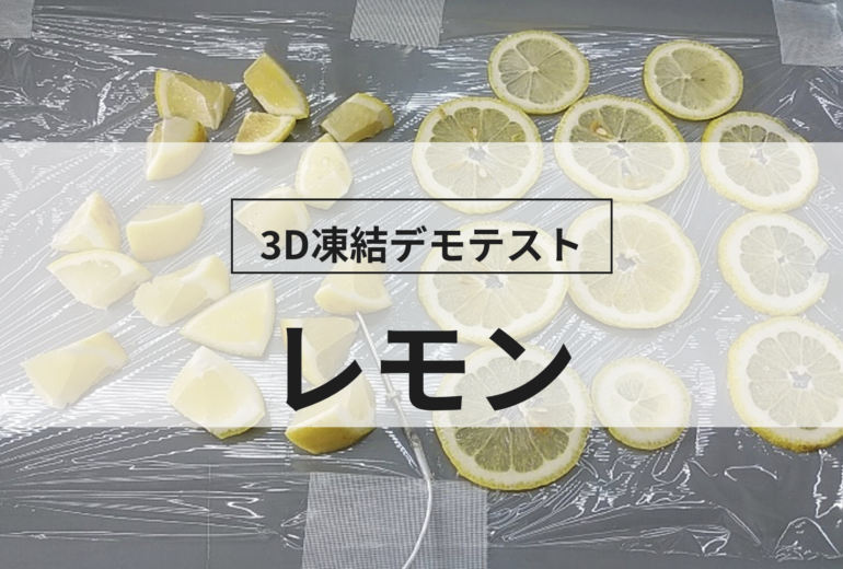 3D凍結デモテストに使用するレモン（冷凍前）の写真