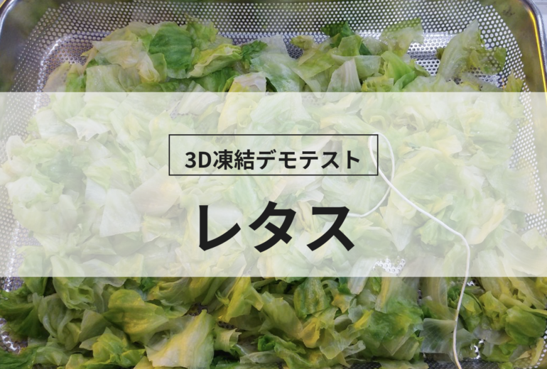 3D凍結デモテストに使用するレタス（冷凍前）の写真