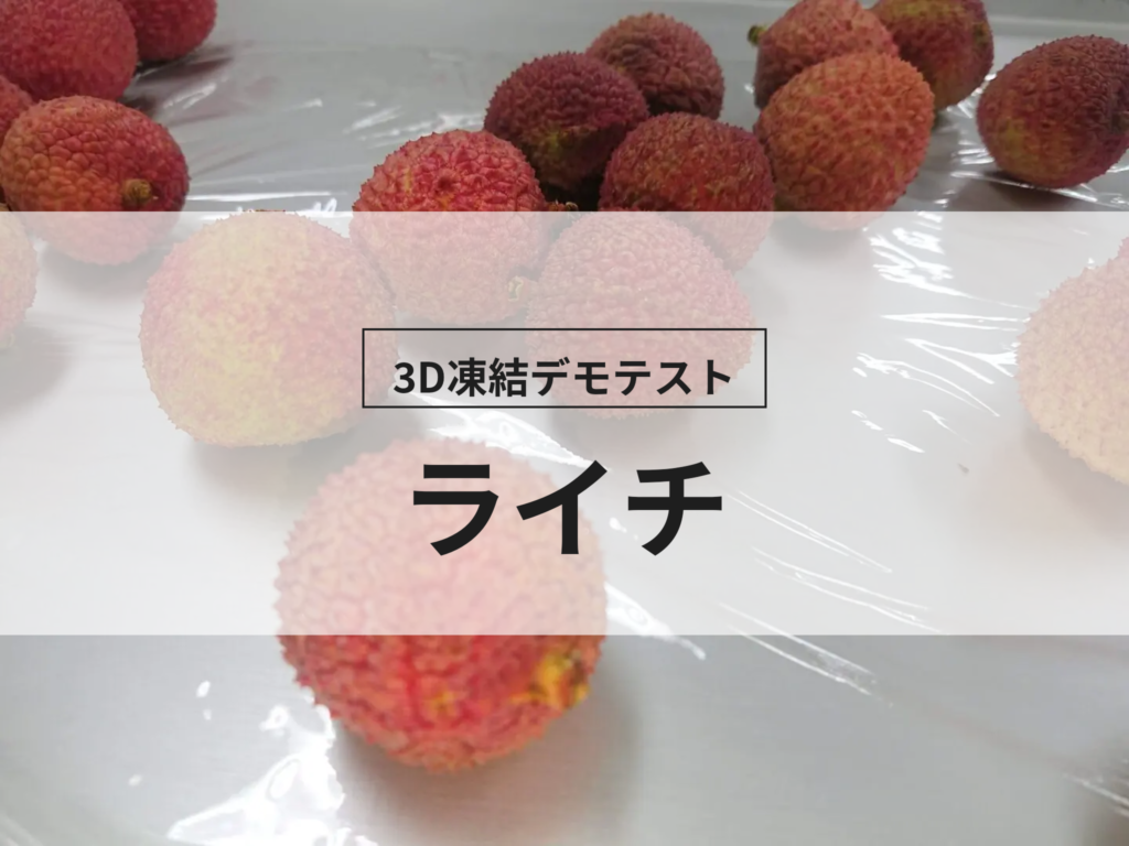 3D凍結デモテストに使用するライチ(冷凍前)の写真
