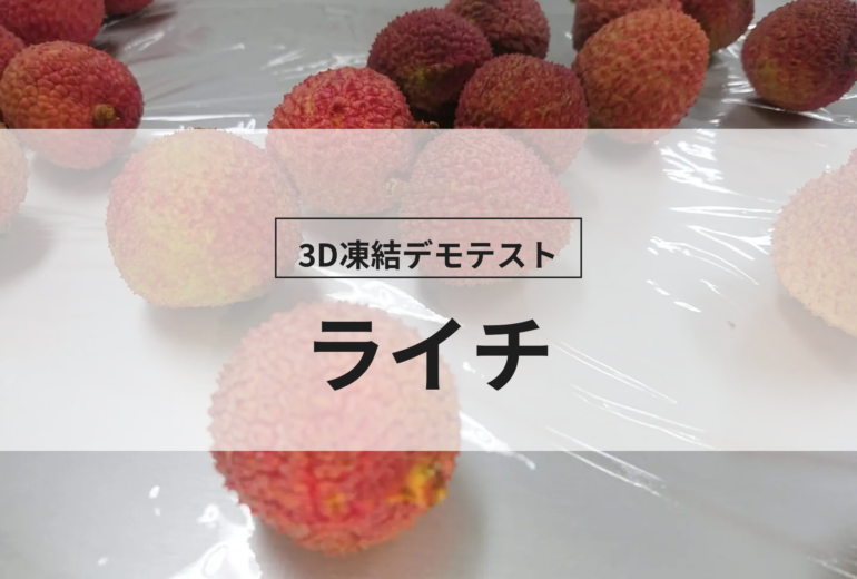 3D凍結デモテストに使用するライチ（冷凍前）の写真
