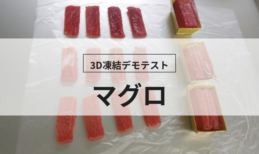 3D凍結デモテストに使用するマグロ（冷凍前）の写真