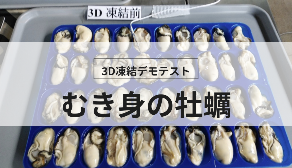 3D凍結デモテストに使用するむき身の牡蠣（冷凍前）の写真