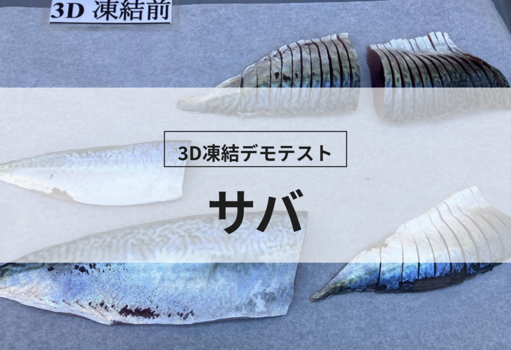 3D凍結デモテストに使用するサバ（冷凍前）の写真