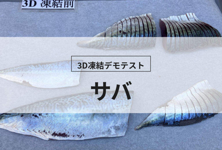 3D凍結デモテストに使用するサバ（冷凍前）の写真