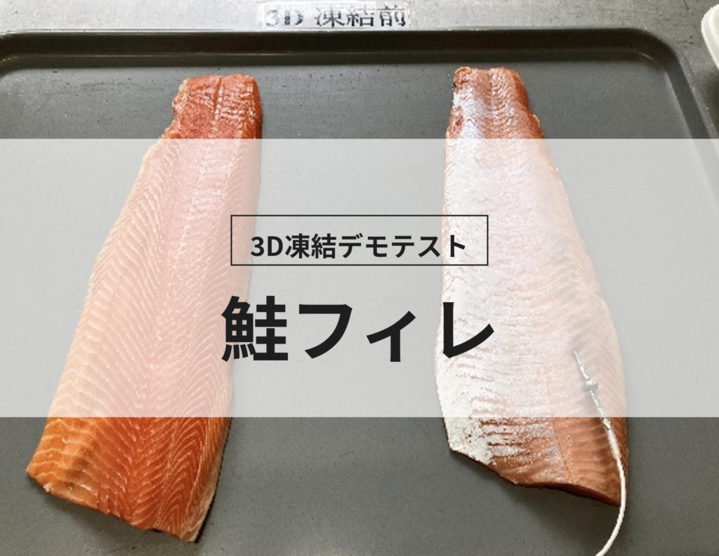 3D凍結デモテストに使用する鮭フィレ（冷凍前）の写真