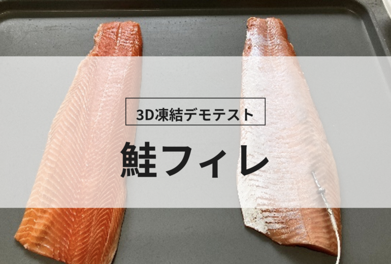 3D凍結デモテストに使用する鮭フィレ（冷凍前）の写真