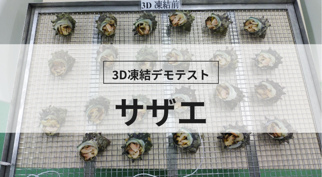 3D凍結デモテストに使用するサザエ（冷凍前）の写真