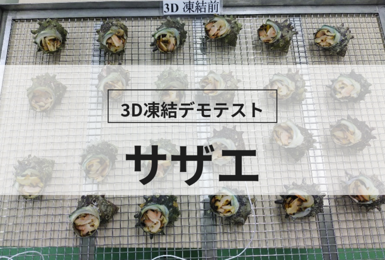 3D凍結デモテストに使用するサザエ（冷凍前）の写真