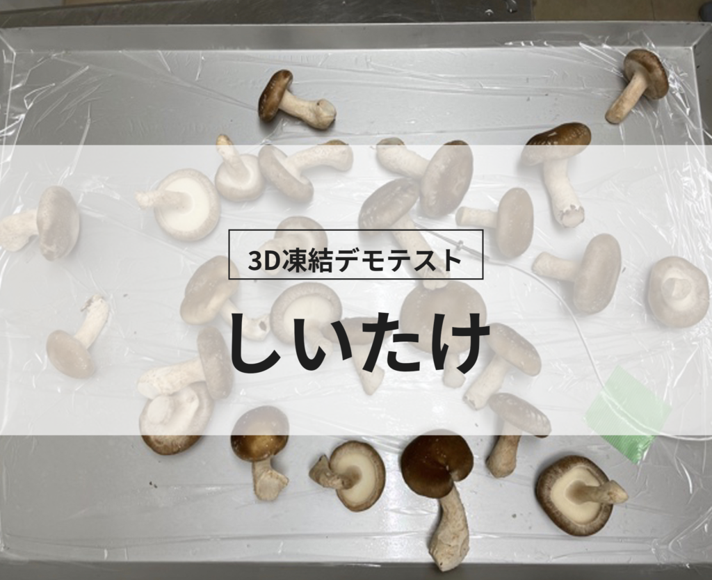 3D凍結デモテストに使用するしいたけ（冷凍前）の写真