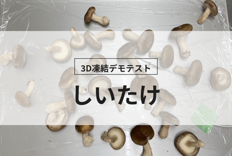 3D凍結デモテストに使用するしいたけ（冷凍前）の写真