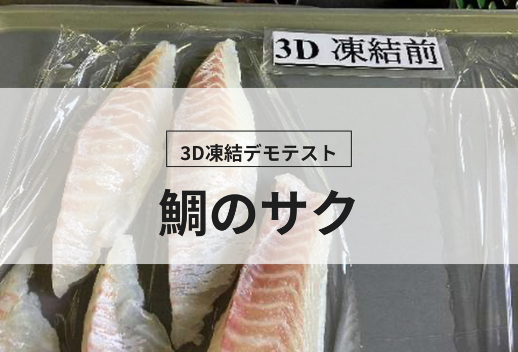 3D凍結デモテストに使用する鯛のサク（冷凍前）の写真