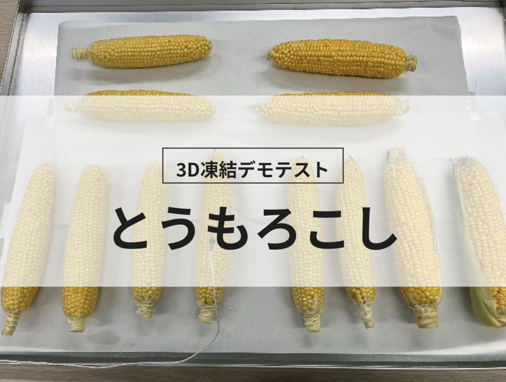 3D凍結デモテストに使用するとうもろこし（冷凍前）の写真