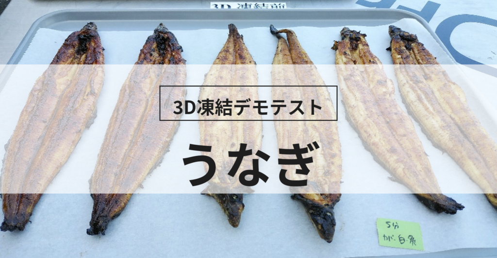3D凍結デモテストに使用するウナギ（冷凍前）の写真