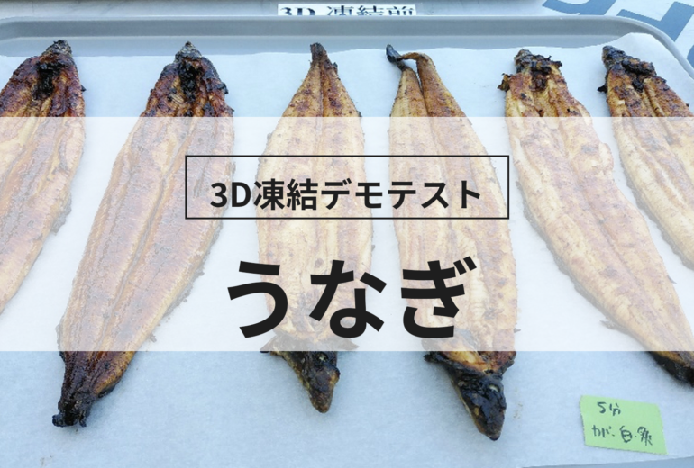 3D凍結デモテストに使用するウナギ（冷凍前）の写真