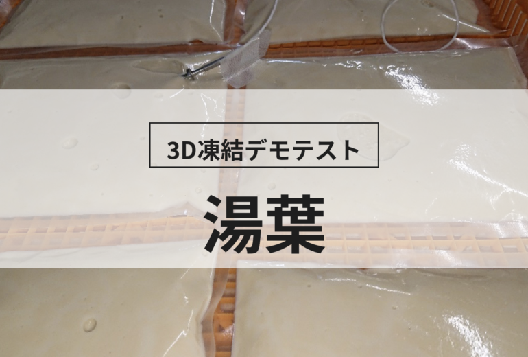 3D凍結デモテストに使用する湯葉（冷凍前）の写真