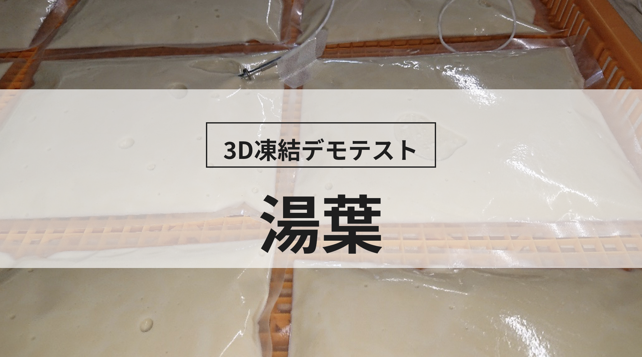 3D凍結デモテストに使用する湯葉（冷凍前）の写真
