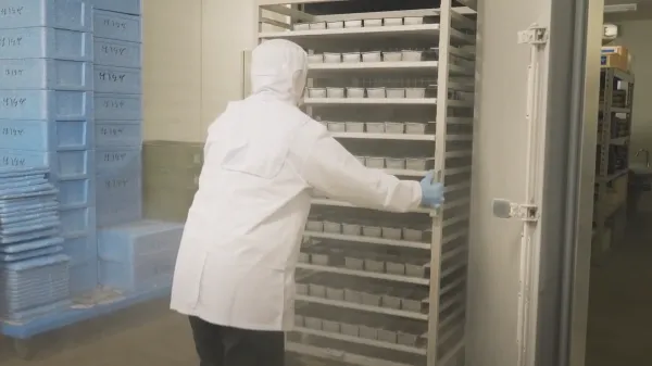 食品工場・セントラルキッチン向け急速冷凍機 導入ガイド｜KOGASUN