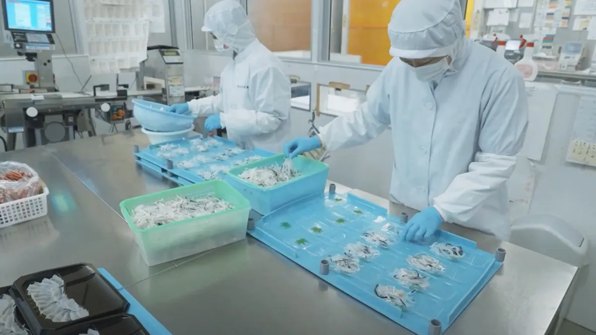 水産加工向け急速冷凍機 導入ガイド｜KOGASUN