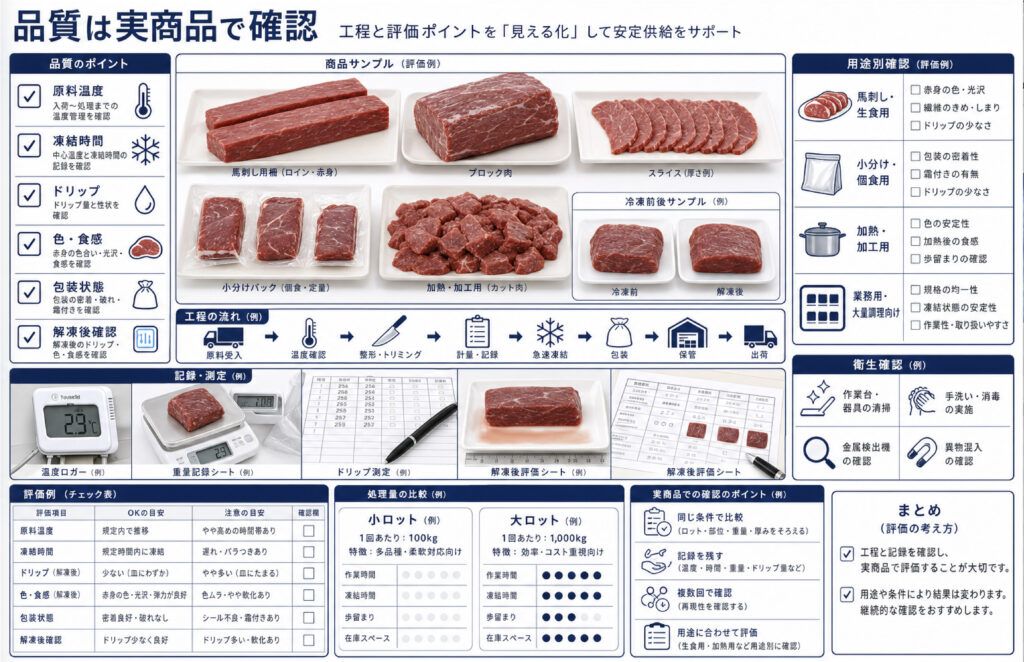 馬肉の急速冷凍で凍結テストで温度、ドリップ、外観、食感を確認する項目表