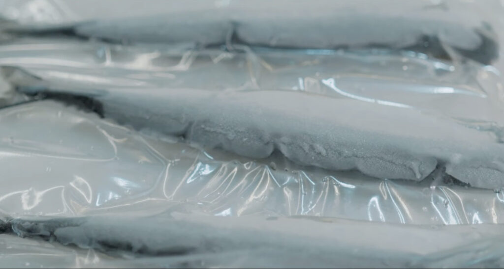 3Dフリーザーで凍結された秋刀魚