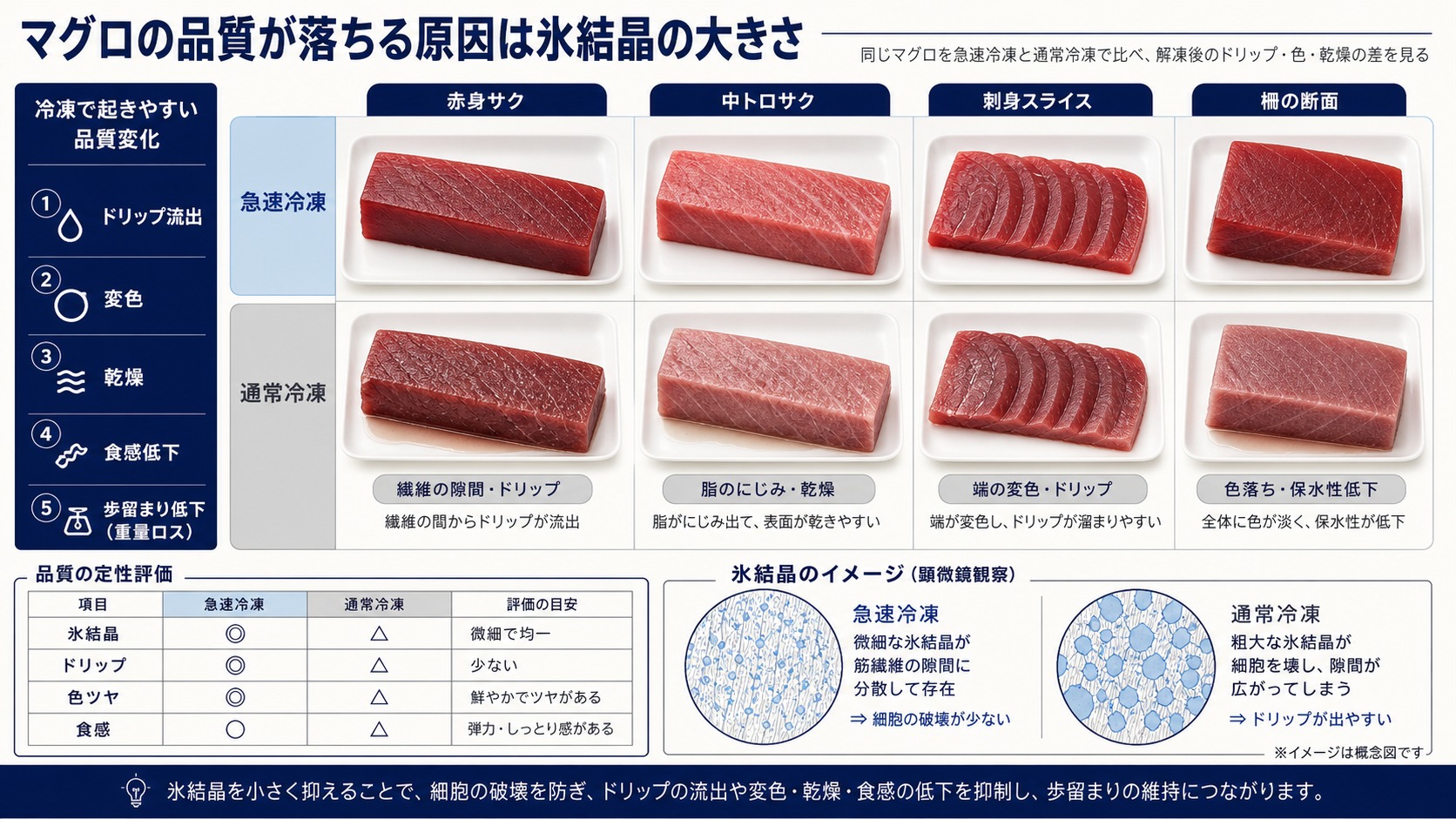 急速冷凍と通常冷凍によるマグロ(サク・赤身・中トロ・刺身用)の品質差