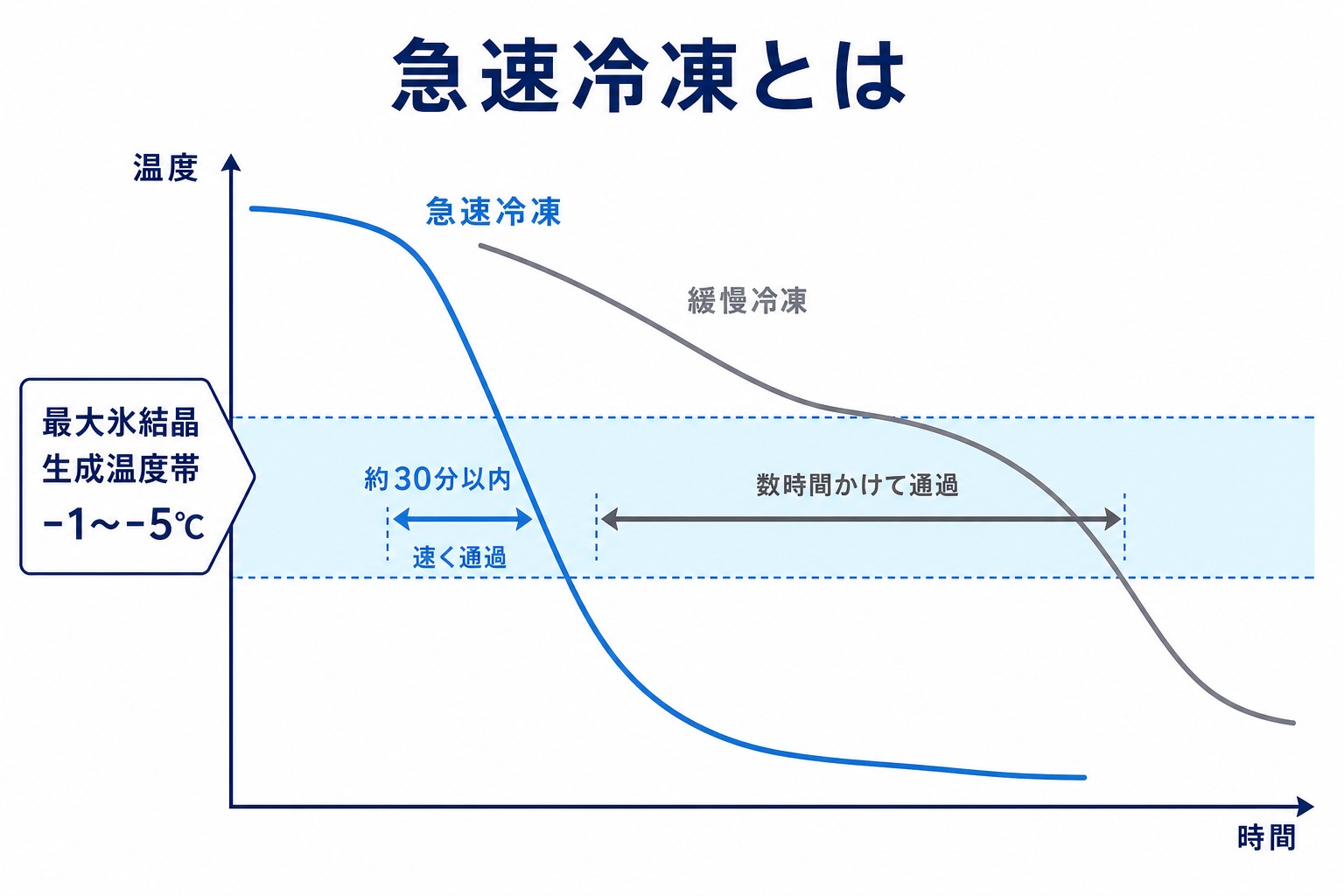 最大氷結晶生成温度帯マイナス1からマイナス5度を約30分以内に通過するのが急速凍結の目安であることを示す温度低下グラフの図解