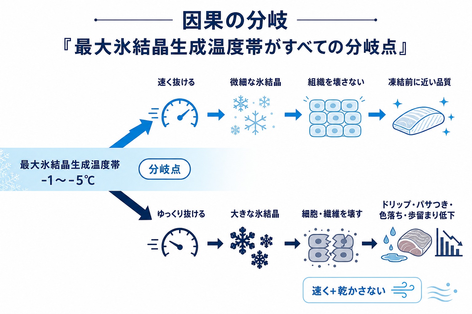 温度帯を速く抜けると微細結晶で品質維持ゆっくり抜けると大結晶で品質低下に分岐する因果の流れを示した図解